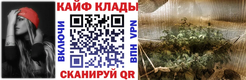 Наркошоп купить Гашиш  Марихуана  КОКАИН  Мефедрон  Каргополь