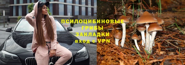 каннабис Лабытнанги