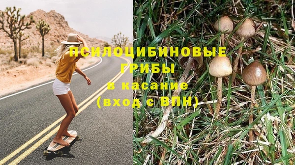 каннабис Лабытнанги